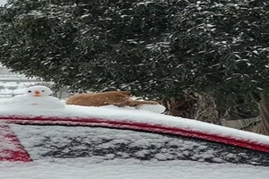 Spiel mit dem Schnee