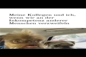 Meine Kollegen und ich