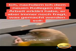 weiter