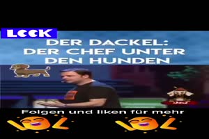 Der Dackel