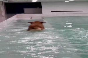 Wassertreten