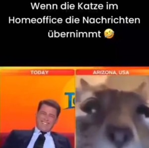 weiter
