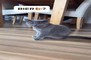 weiter