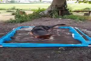 Das macht Spa