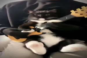 Voll im Einsatz