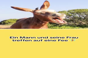Die Fee