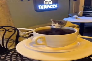 Erst mal einen Kaffee
