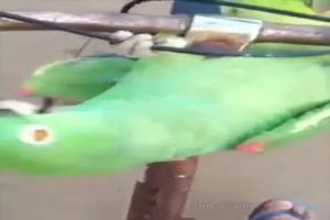 Mach wie ein Motorrad