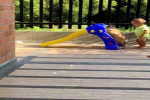Mit dem Hund spielen