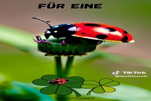 weiter