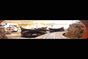 Wchter des Tunnels