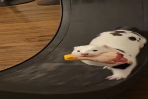 Bisschen Lauftraining machen