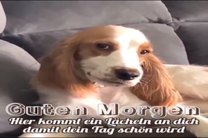 Ein Lcheln fr dich