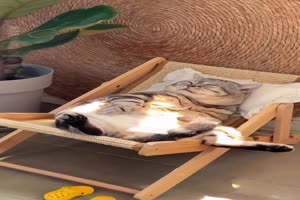 Urlaub ist sch�n