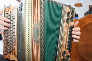 Harmonika-1