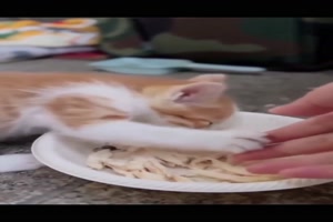 Bleib weg von meinem Essen