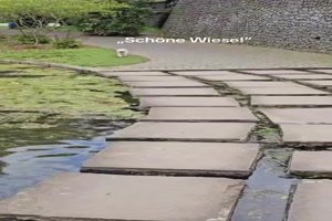 weiter
