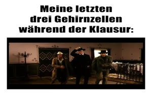 Meine letzten drei Gehirnzellen