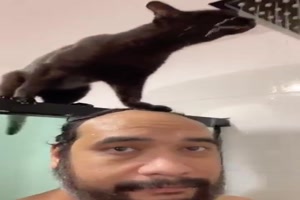 Duschen mit der Katze