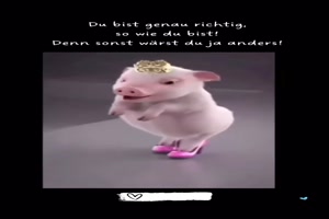weiter