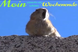 weiter