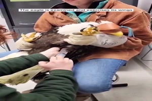 Vogel gerettet