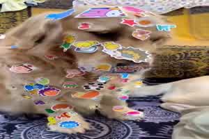 Geduldige Hunde