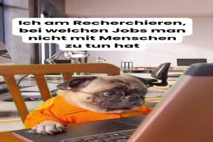 weiter