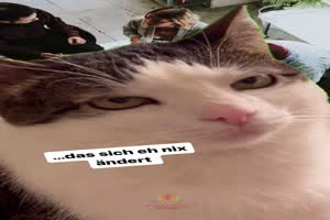 Mal wieder Teambesprechung