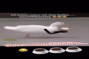 Ich komme schon mit dem Kaffee