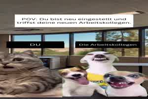 Die neuen Kollegen