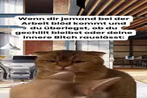 weiter