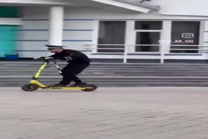 Wilde Verfolgungsjagd