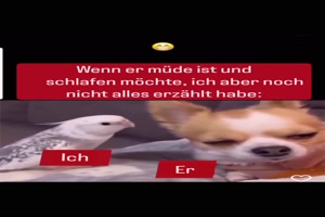 Wenn ich noch nicht alles erz�hlt habe