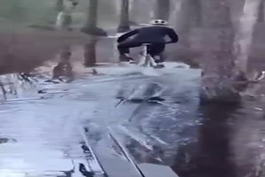 Ein paar Hoppalas