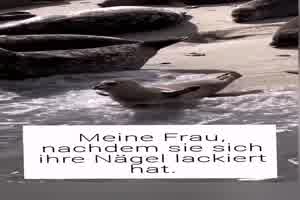 Meine Frau