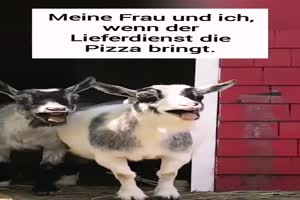 Wenn die Pizza kommt