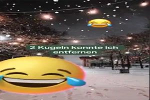 Prchen liegt im Wald