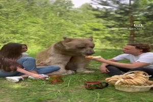 Picknick mit Br