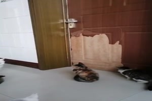 Die Tre hat etwas gelitten