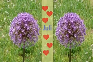 Der Juli hat begonnen....