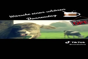 Wnsche einen schnen Donnerstag