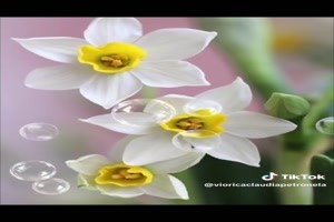 Happy Thursday my dear friends! - Schnen Donnerstag