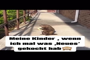 Das schmeckt komisch