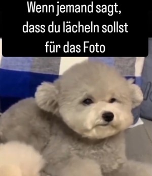 weiter