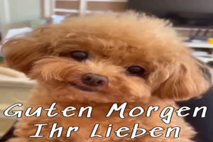 weiter