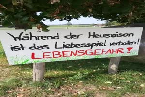 weiter