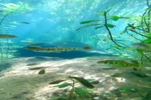 ber und Unter Wasser