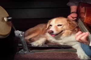 Gemeinsam Musik machen