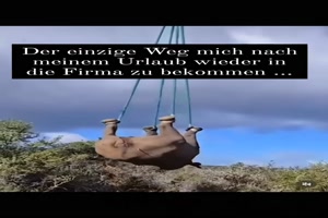 weiter